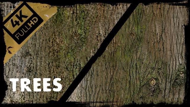 《求生之路2》树木植物高清纹理-IGTA奇幻游戏城-GTA5MOD资源网