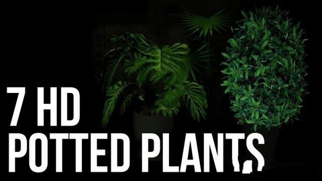 《求生之路2》高清的盆栽植物MOD-IGTA奇幻游戏城-GTA5MOD资源网