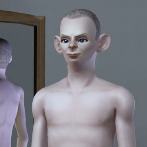 《模拟人生3》MOD人物 指环王(弗罗多的仆人)-IGTA奇幻游戏城-GTA5MOD资源网