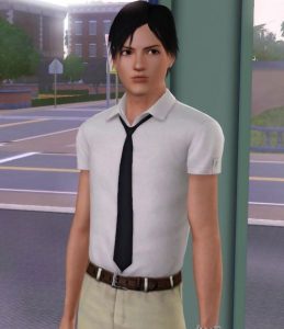 《模拟人生3》MOD 双胞胎美型 凌陌尘.凌陌枫-IGTA奇幻游戏城-GTA5MOD资源网