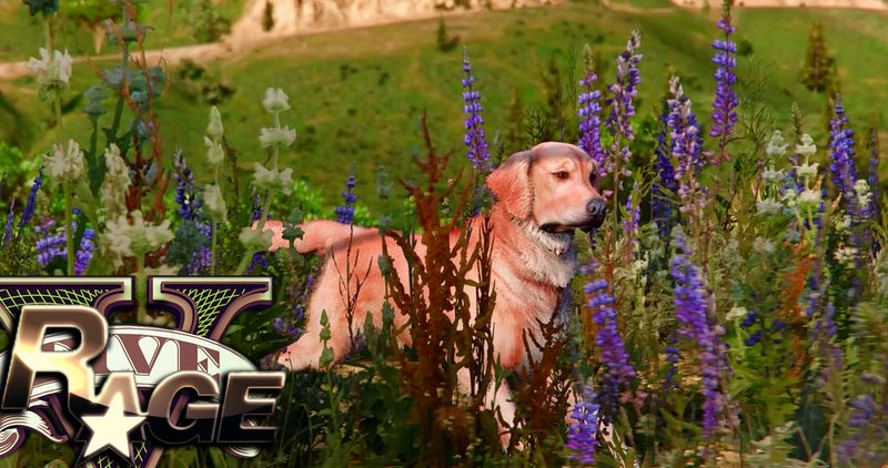 图片[4]-[GTA5MOD]ProjectRAGE 图形增强器 0.3BETA-IGTA奇幻游戏城-GTA5MOD资源网