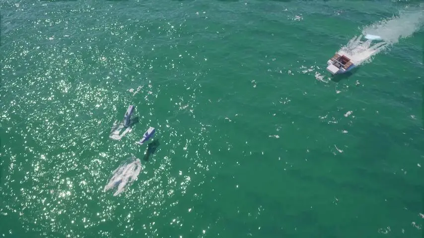 图片[12]-GTA6壁纸 53张图片 [电脑手机] 预告片1 [我的世界版] 4K【345MB】-IGTA奇幻游戏城-GTA5MOD资源网