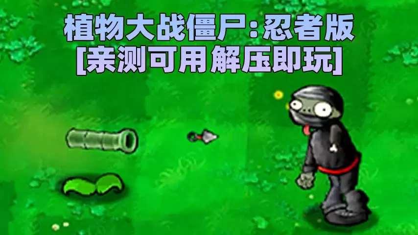 植物大战僵尸：忍者版 简体中文 免安装 绿色版 [亲测可用 解压即玩]【70.5MB】-IGTA奇幻游戏城-GTA5MOD资源网