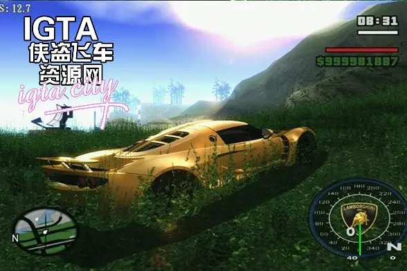 [圣安地列斯]清晰养眼嫩绿色草地贴地-IGTA奇幻游戏城-GTA5MOD资源网