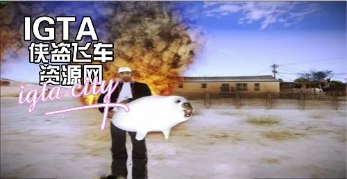 [圣安地列斯]萌货海豹喷火器-IGTA奇幻游戏城-GTA5MOD资源网