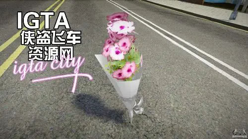 [圣安地列斯]一束绽放的康乃馨-IGTA奇幻游戏城-GTA5MOD资源网